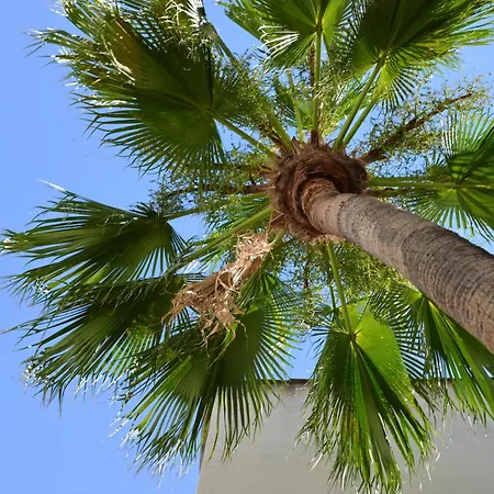 Palazzo Botta Nyaraló *