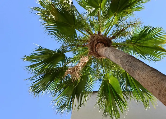 Palazzo Botta Nyaraló *